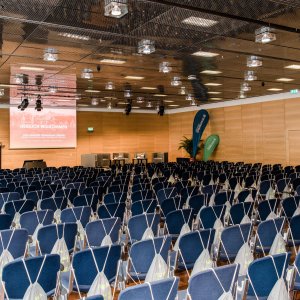 Salzburger Wirtschaftsforum 2023